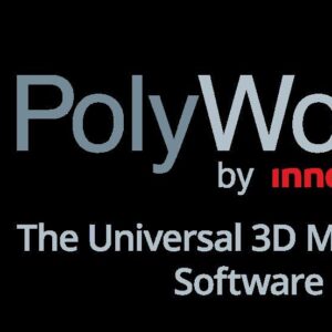 Polyworks 2020
